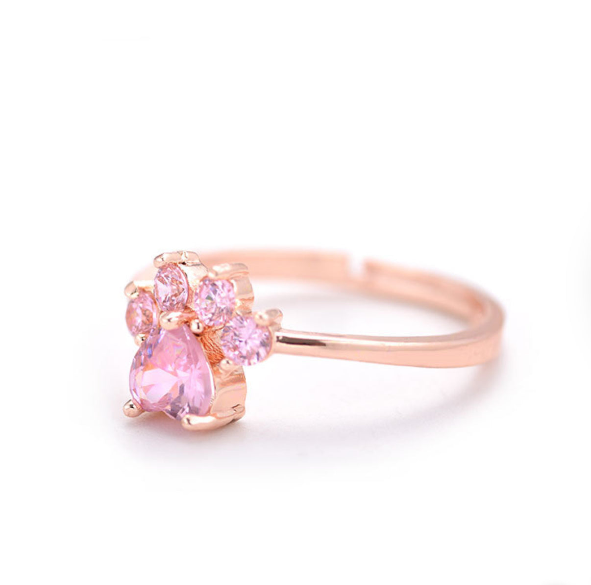 Lunar Cats Claw✨The Moon & The Meadow